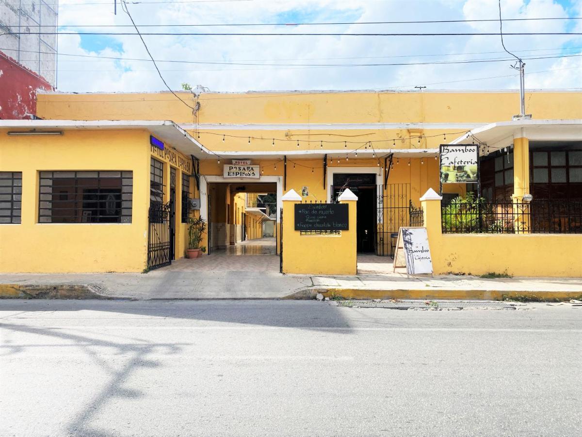 Oyo Posada Espinosa, Merida, Parque De Santa Ana Bagian luar foto